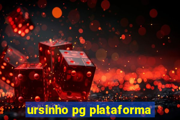 ursinho pg plataforma